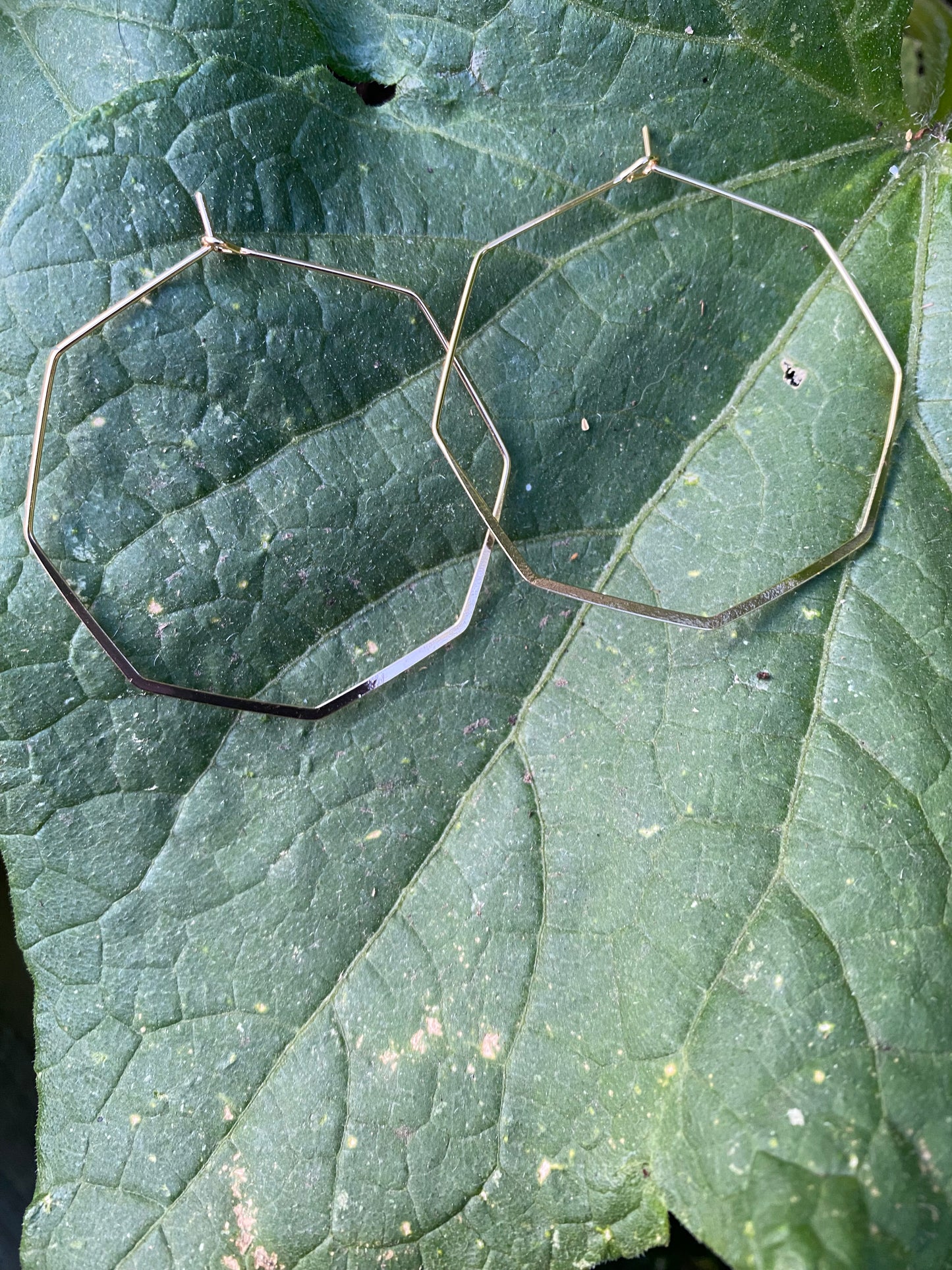 Hoop Earrings-polygon